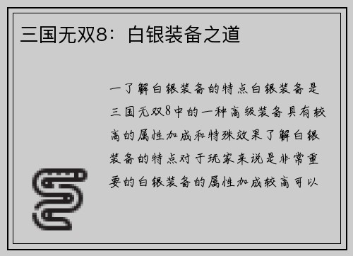 三国无双8：白银装备之道